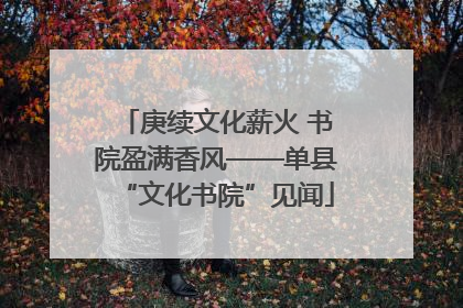 庚续文化薪火 书院盈满香风——单县“文化书院”见闻